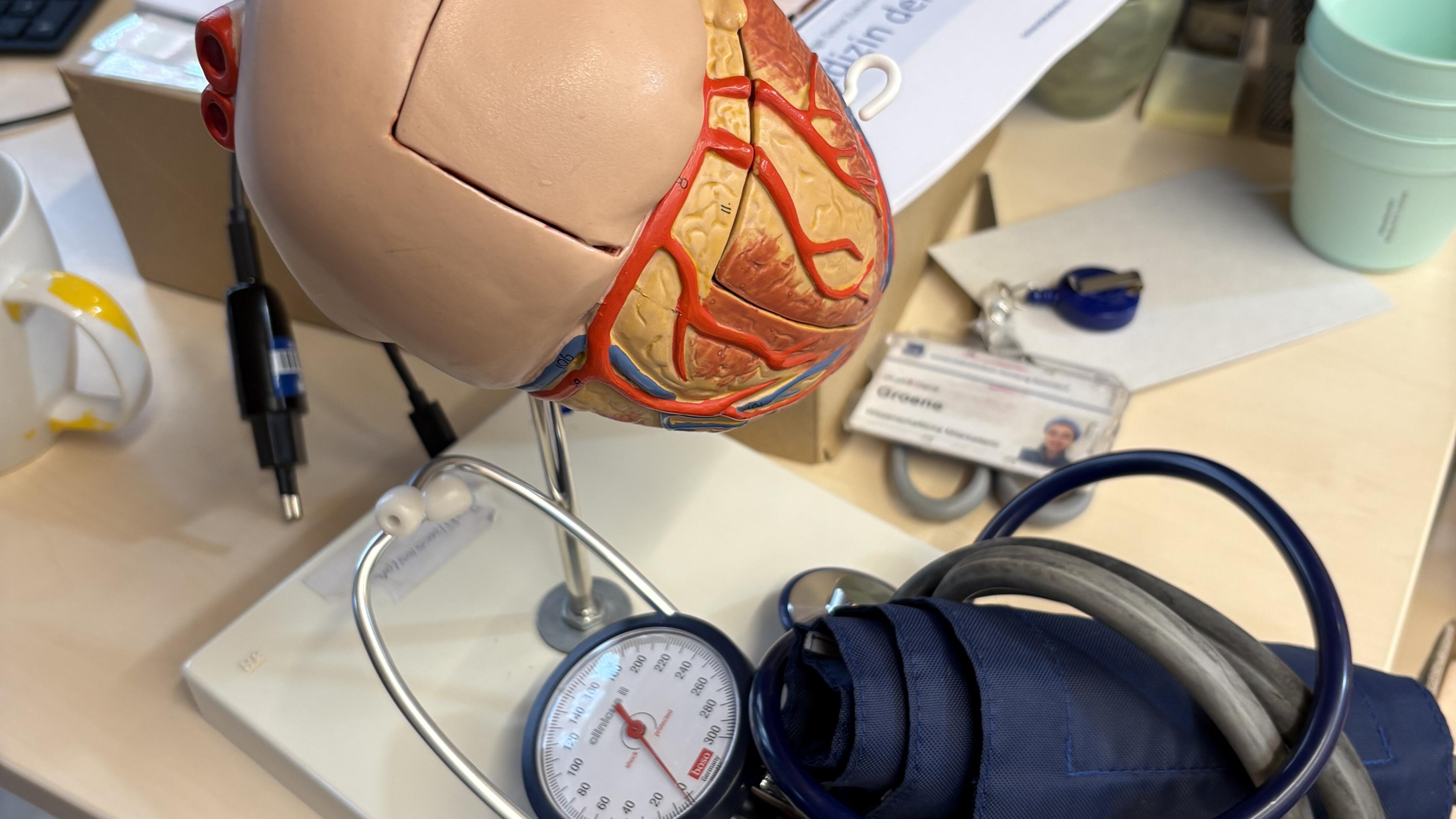 Ein anatomisches Modell des menschlichen Herzens und ein Blutdruckmessgerät liegen nebeneinander auf einem Tisch. Das Bild zeigt medizinische Lehr- und Untersuchungsgegenstände.