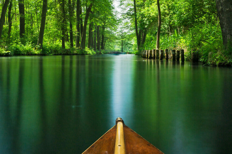 LänderSPECIAL Brandenburg: Spreewald