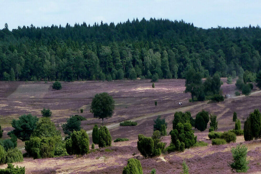 LänderSPECIAL Niedersachsen: Lüneburger Heide