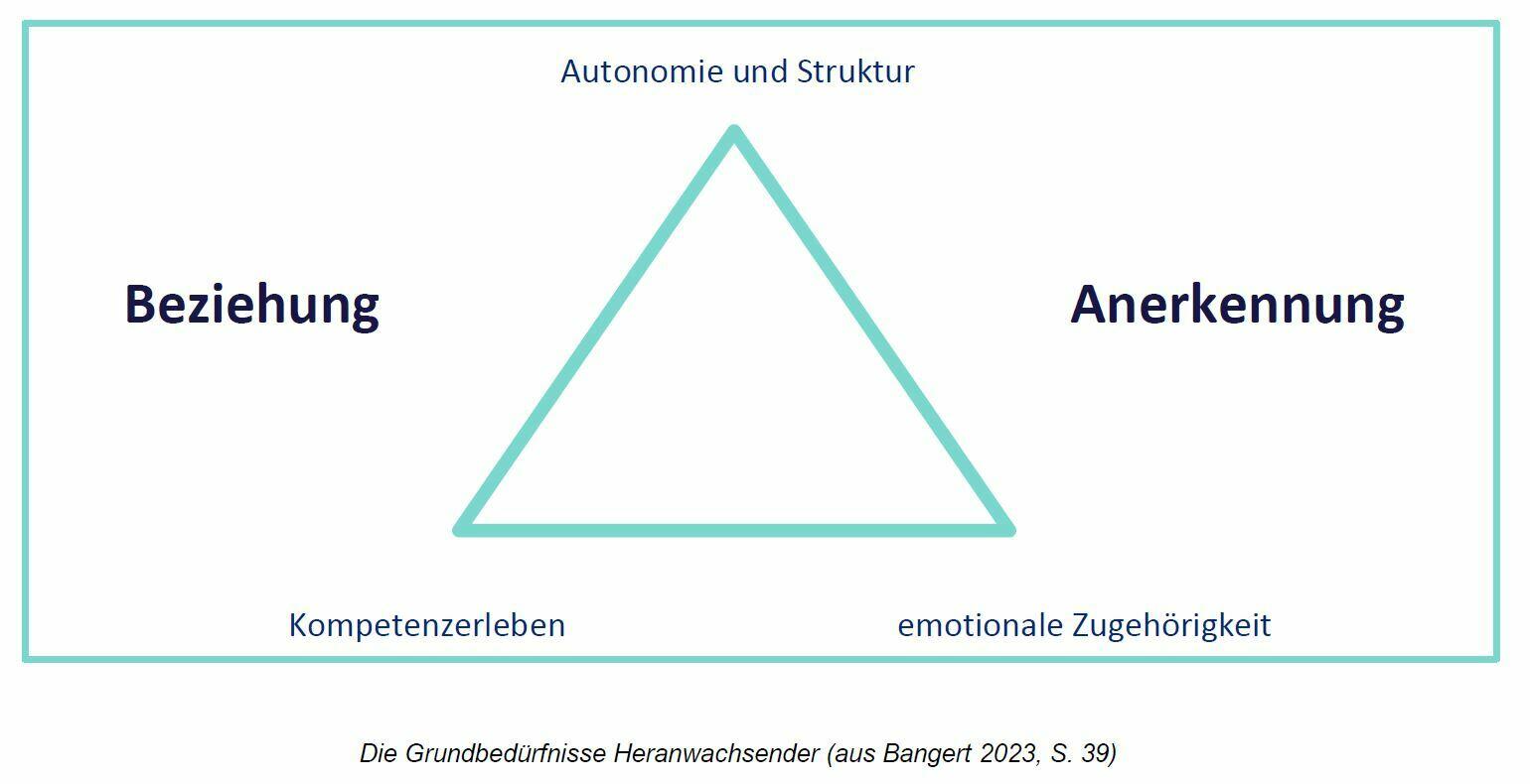 Grafik: Die Grundbedürfnisse Heranwachsender