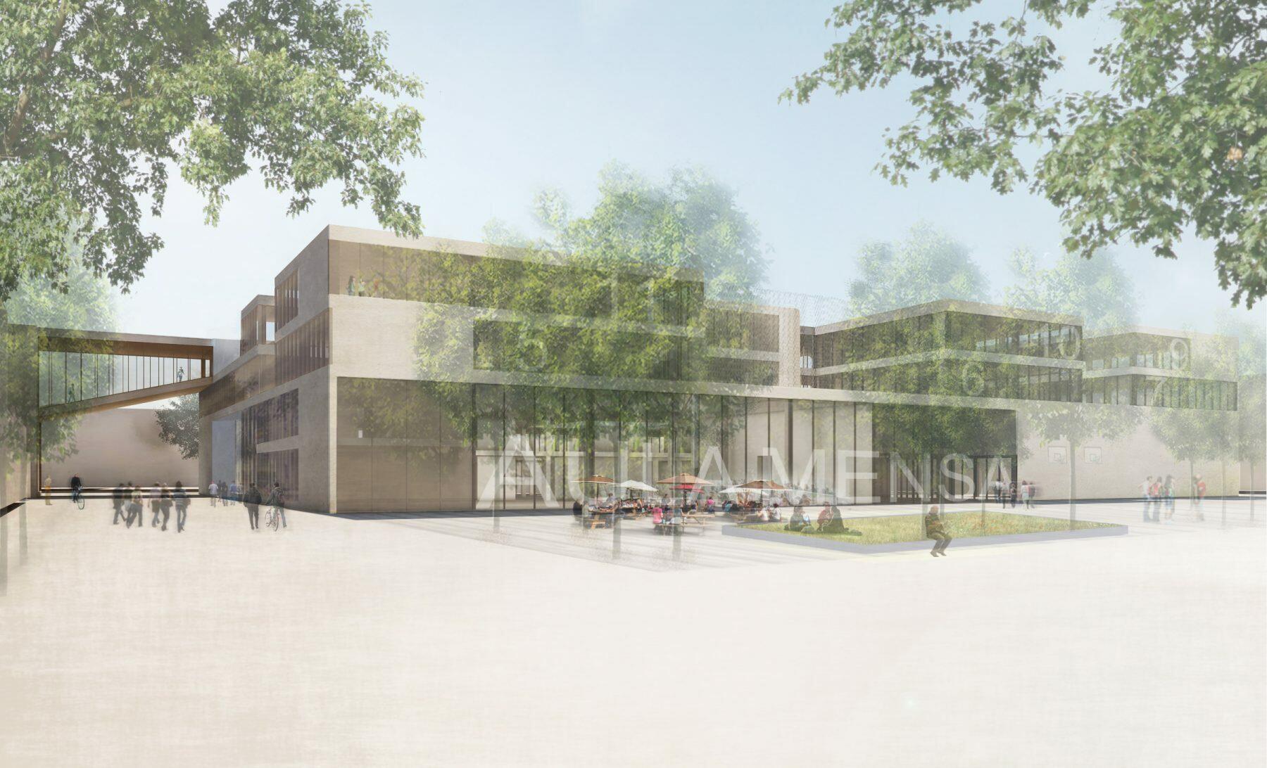 Visualisierung der Heliosschule in einer Grafik.