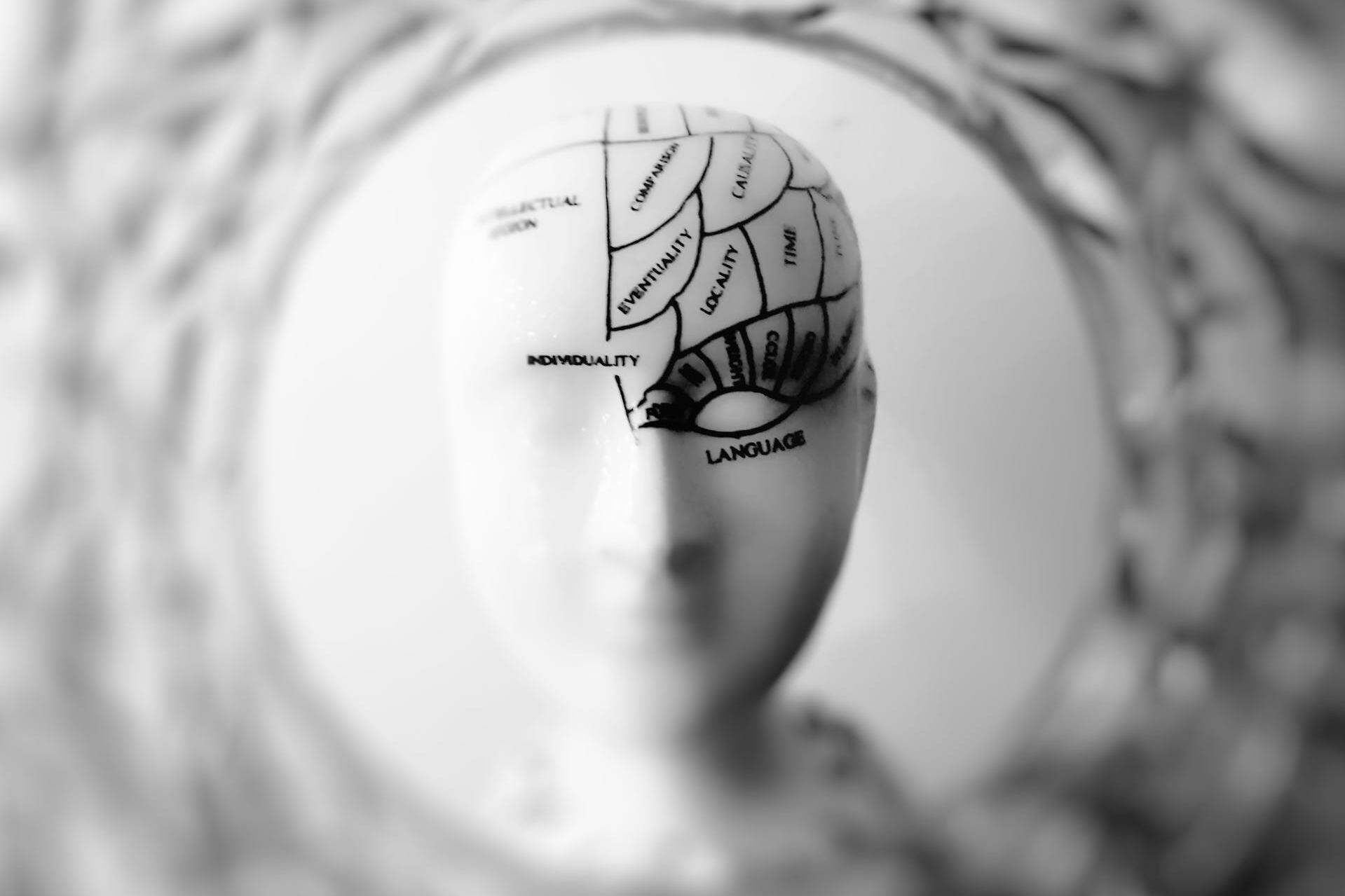 Neurowissenschaften