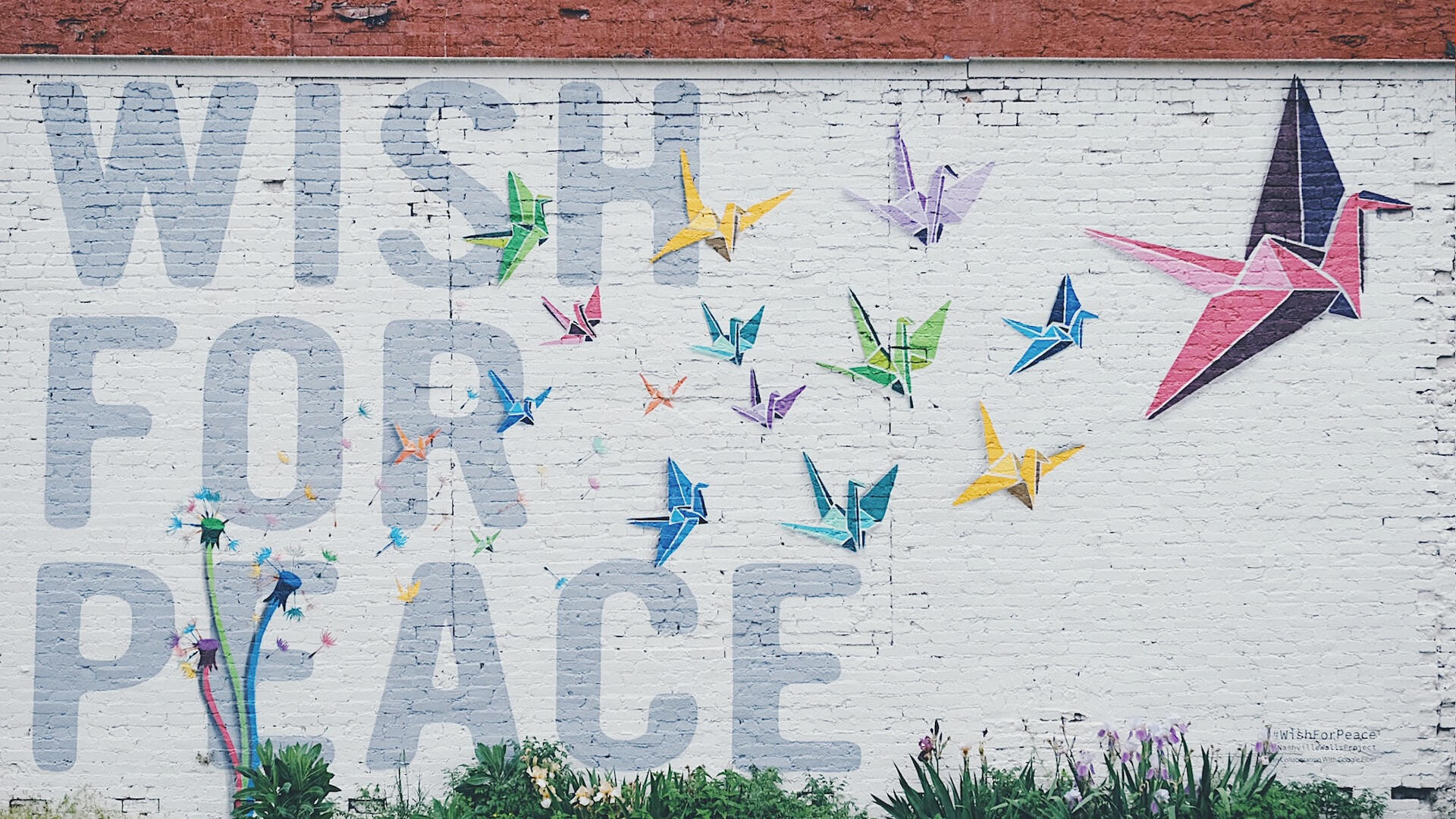 Wish for peace