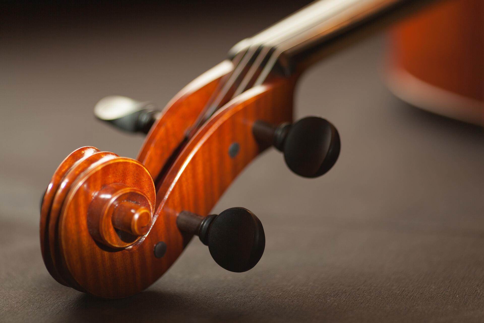 Violine