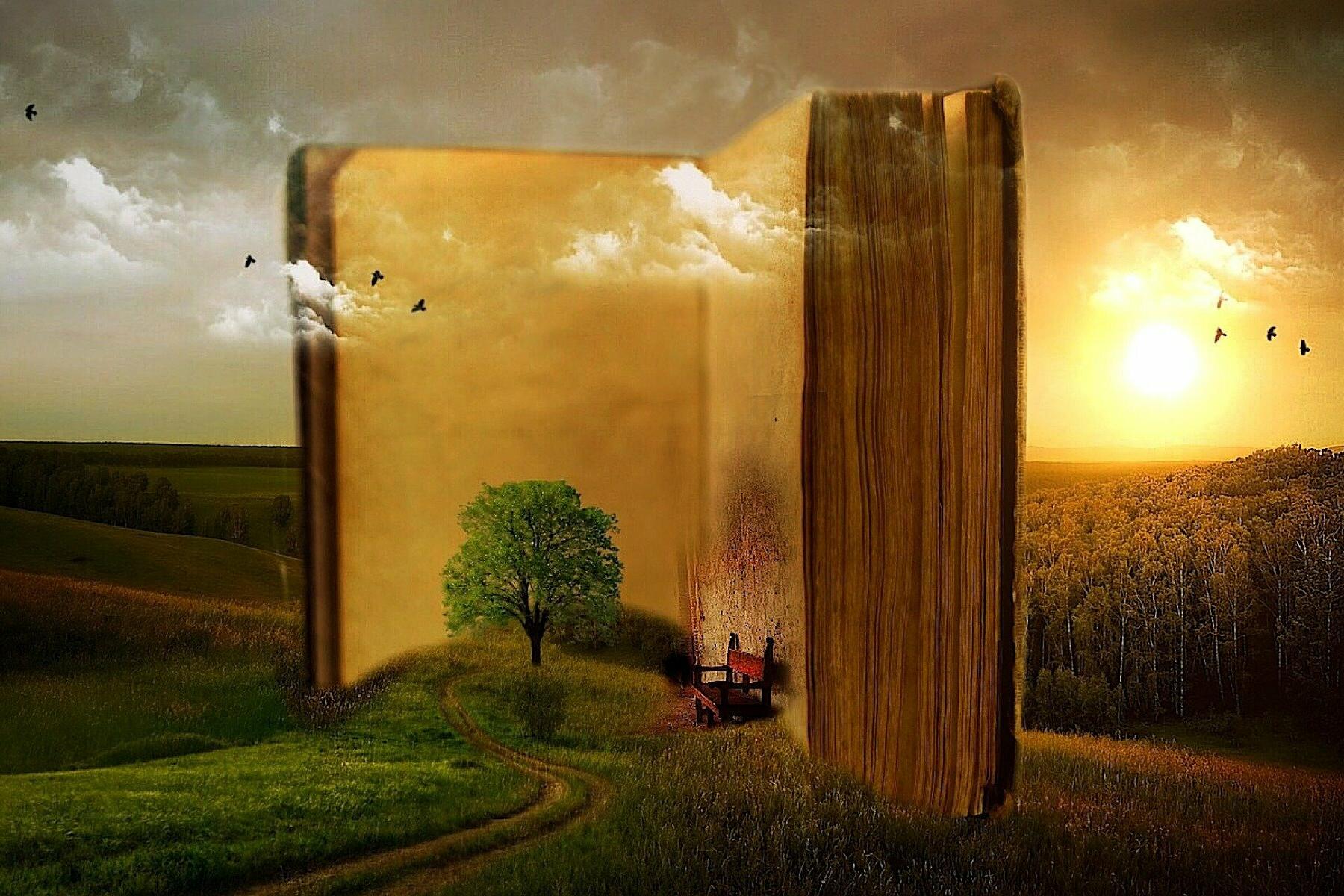 Buch auf einer Wiese.