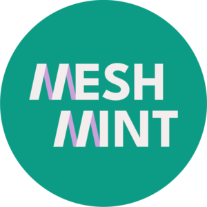 weißer Schriftzug MESH MINT mit fliederfarbenen Akzenten im Buchstabe M (Logo des Projekts MesH_MINT)