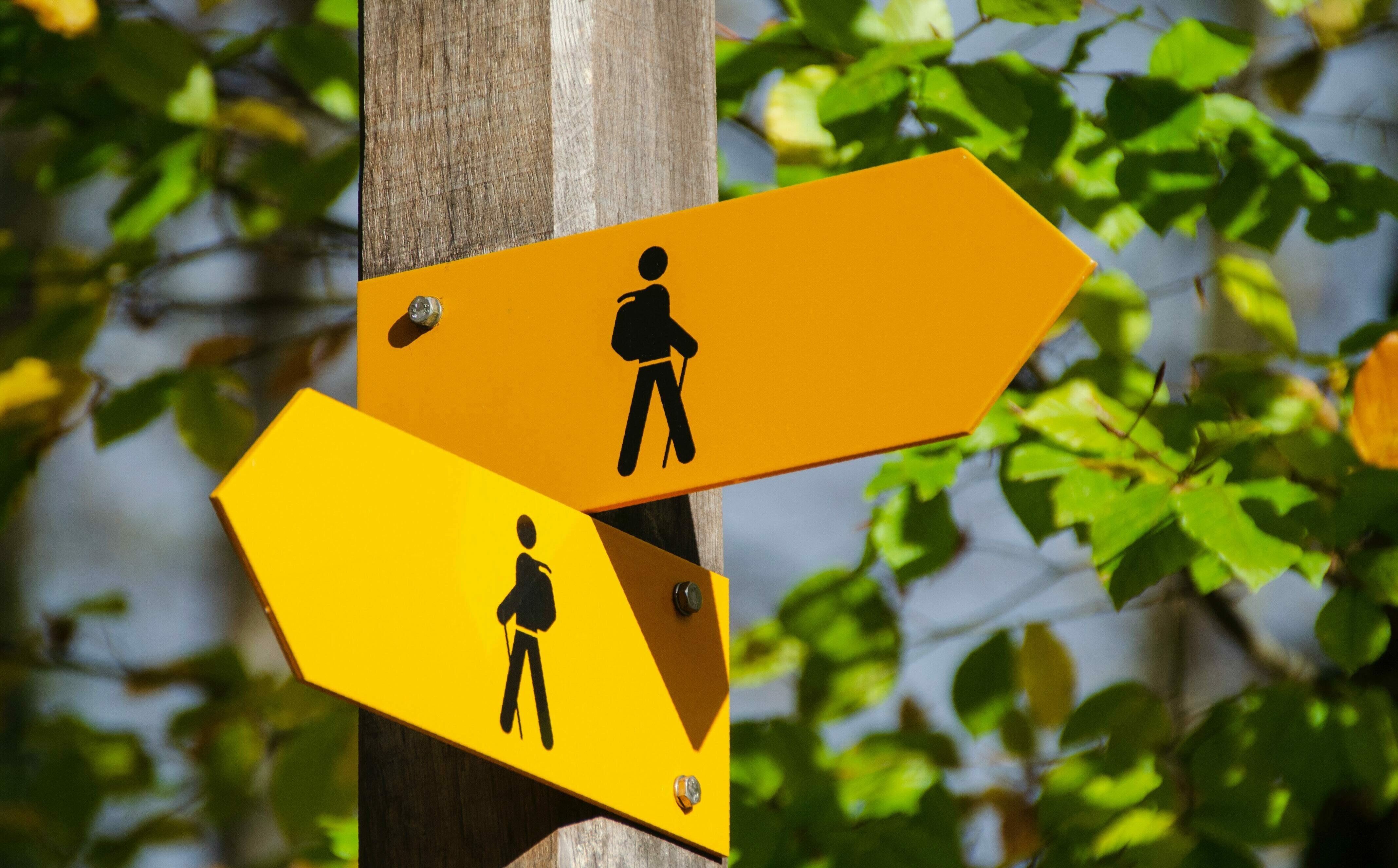 Zwei gelbe Wegweiser, die in unterschiedliche Richtungen zeigen.