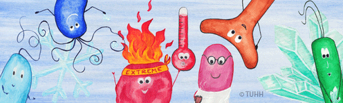 Technische Mikrobiologie an der TUHH