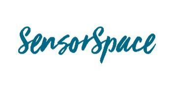 Logo Sensor Space