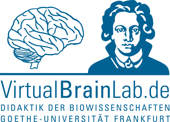 VirtualBrainLab