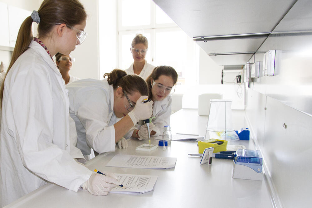 Schüler beim Experimentieren im Virchowlab Würzburg