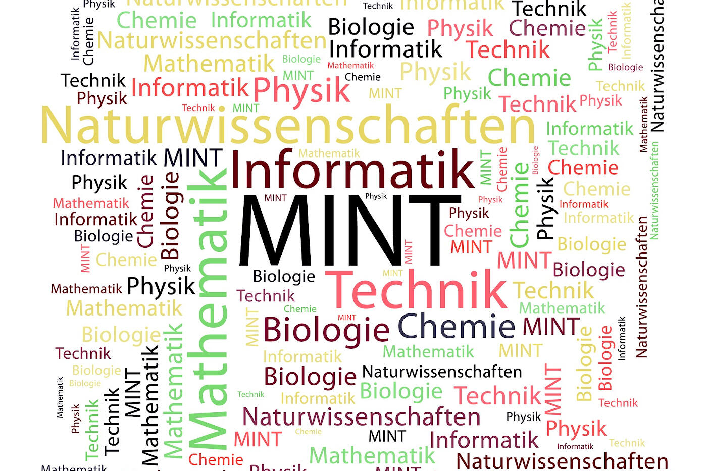 Bild mit farbigen Begriffen zum Thema MINT