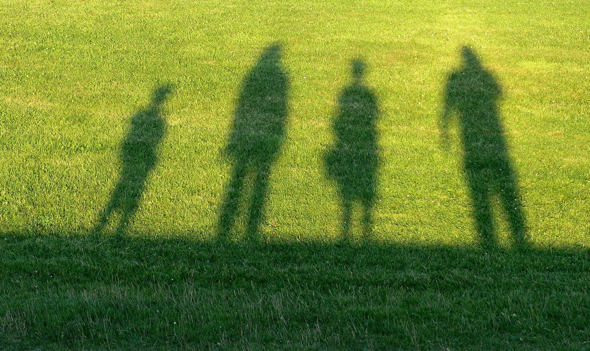 Der Schatten einer Familie (Eltern und zwei Kinder) auf grünem Rasen.