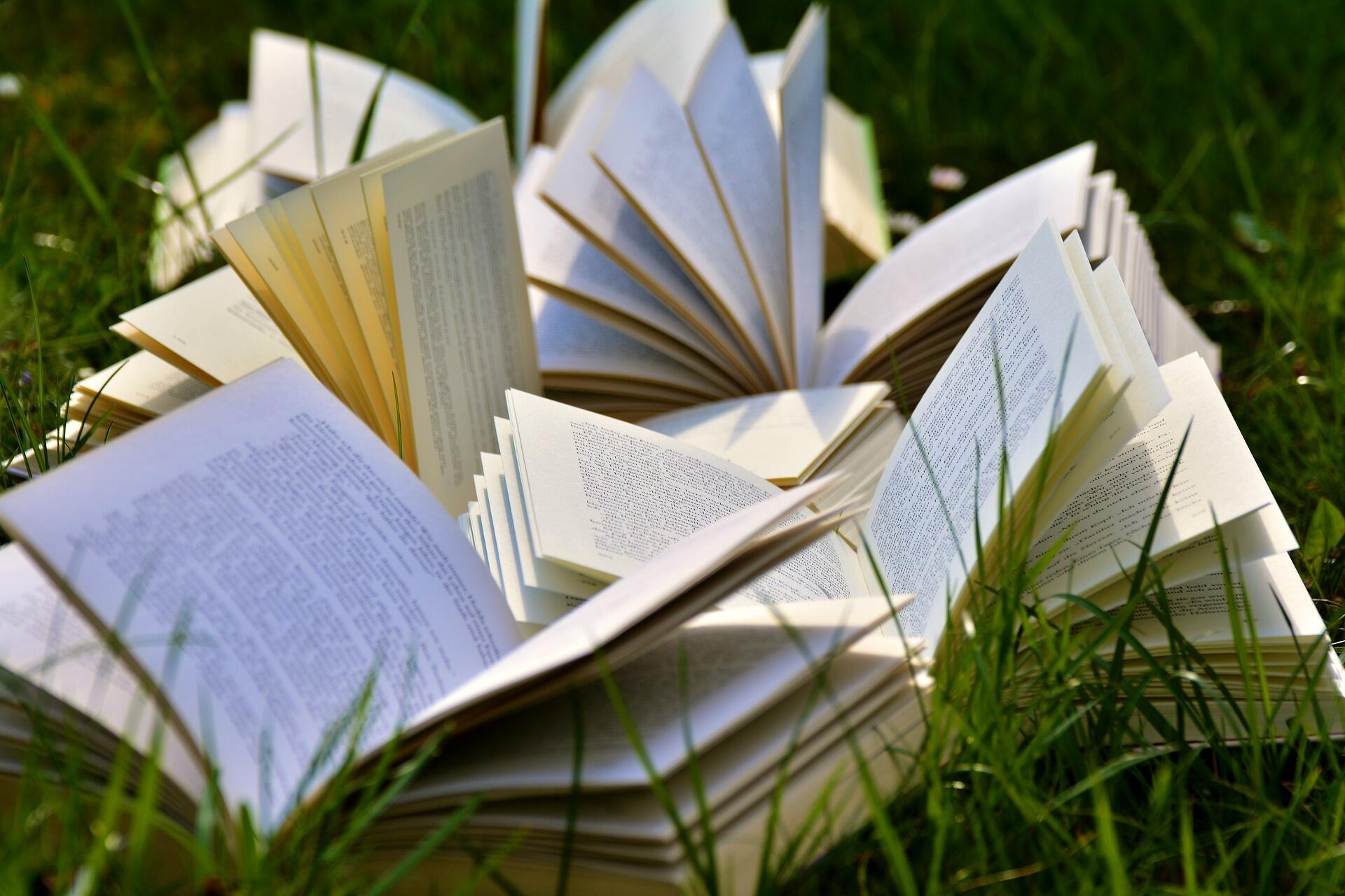 aufgeschlagene Bücher auf einer Wiese