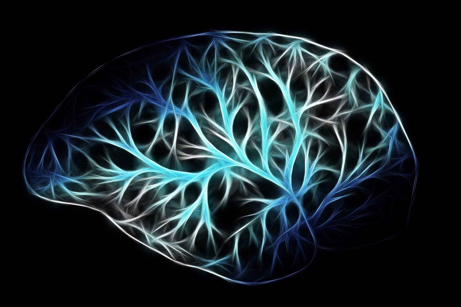 Abbildung eines Gehirns