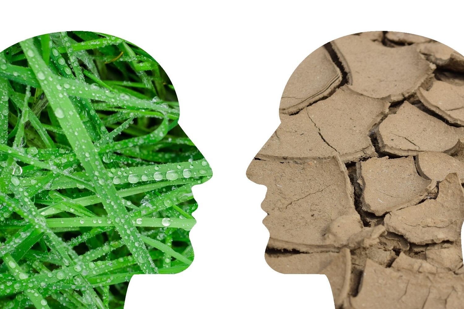 Abbildung eines Kopf mit frischem Gras und eines Kopfes mit ausgedörrter Erde zur Veranschaulichung des Klimawandels.