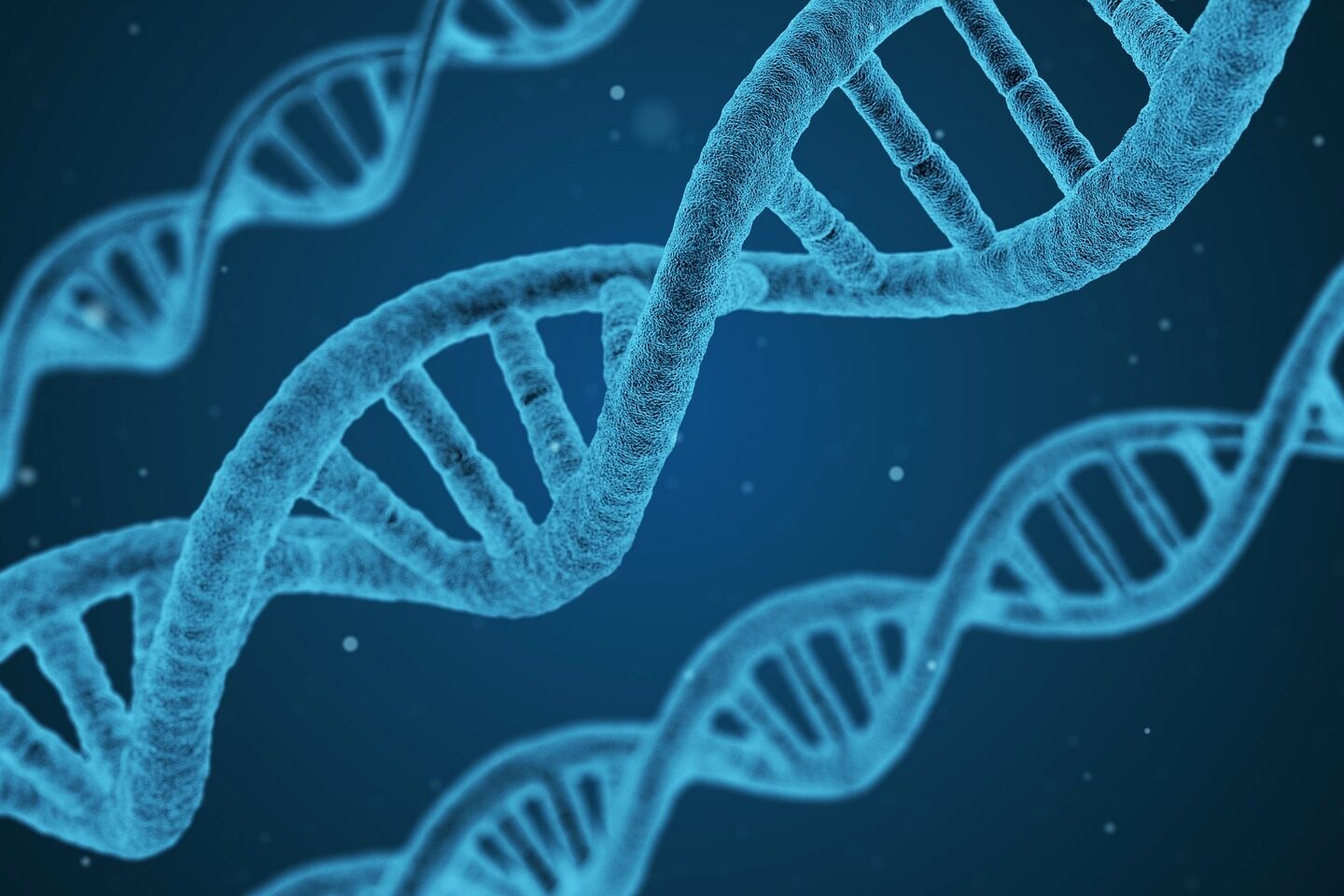 Abbildung von DNA-Strängen