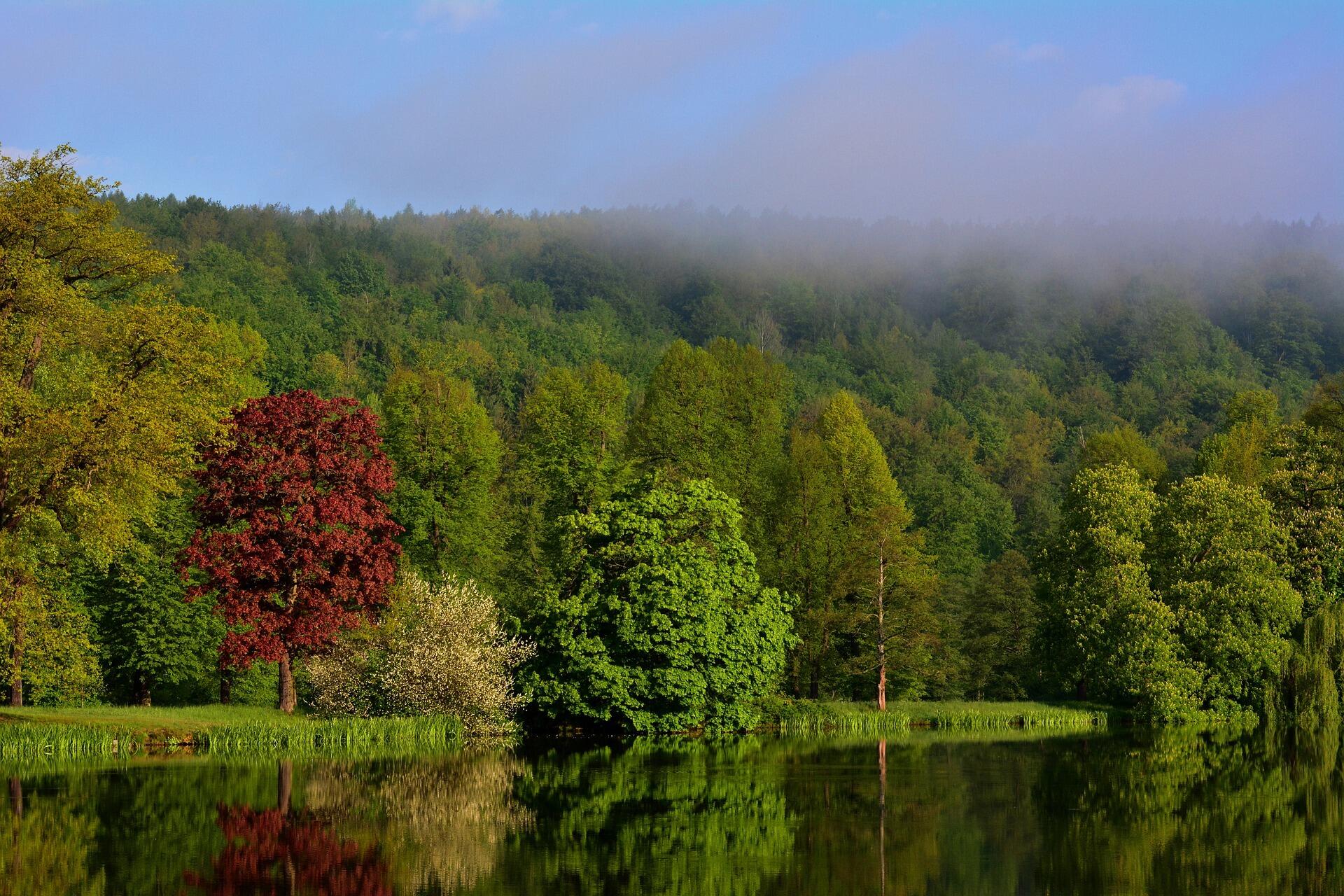 Ein Park mit See in Thüringen