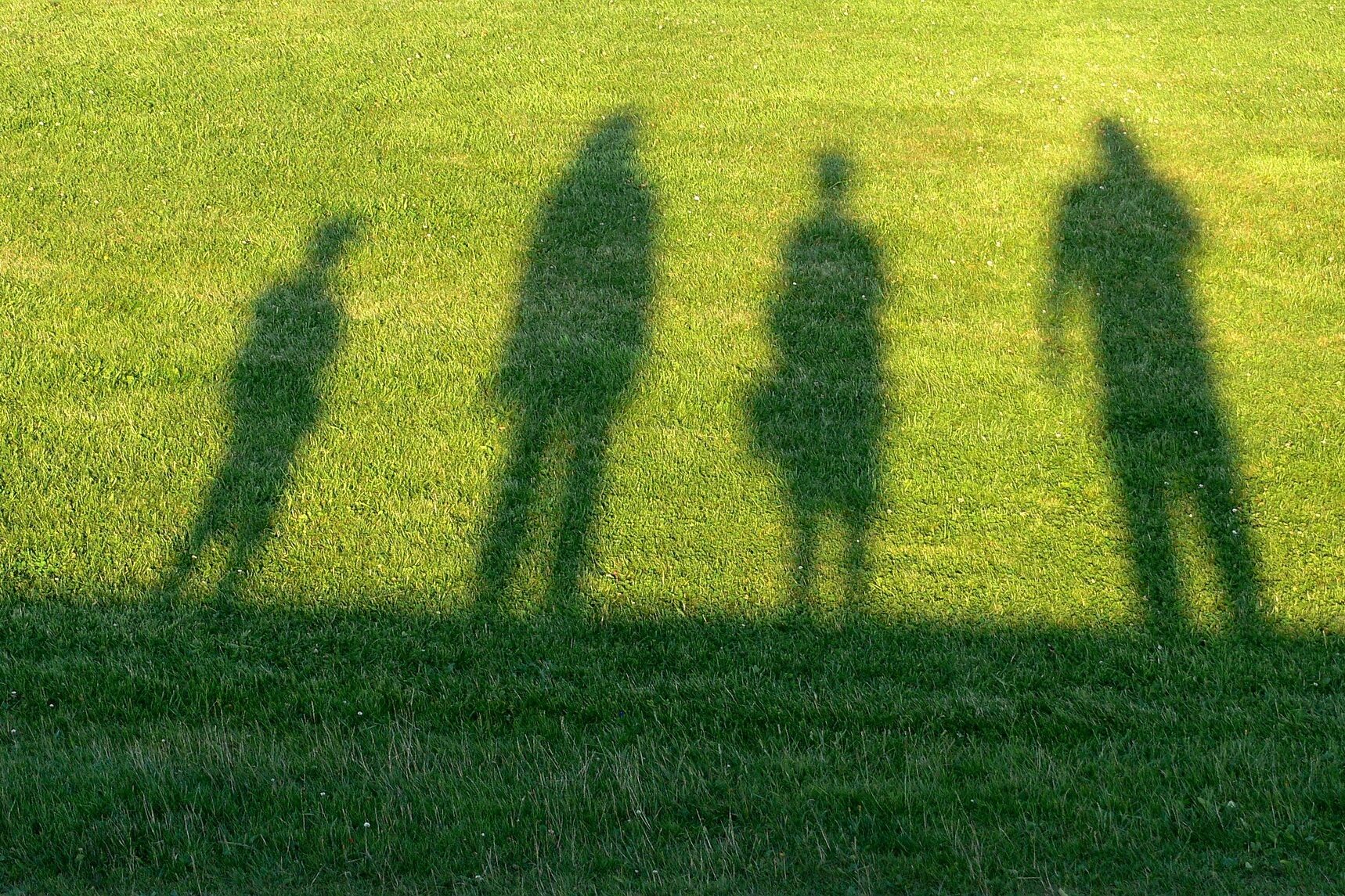 Der Schatten einer Familie (Eltern und zwei Kinder) auf grünem Rasen.