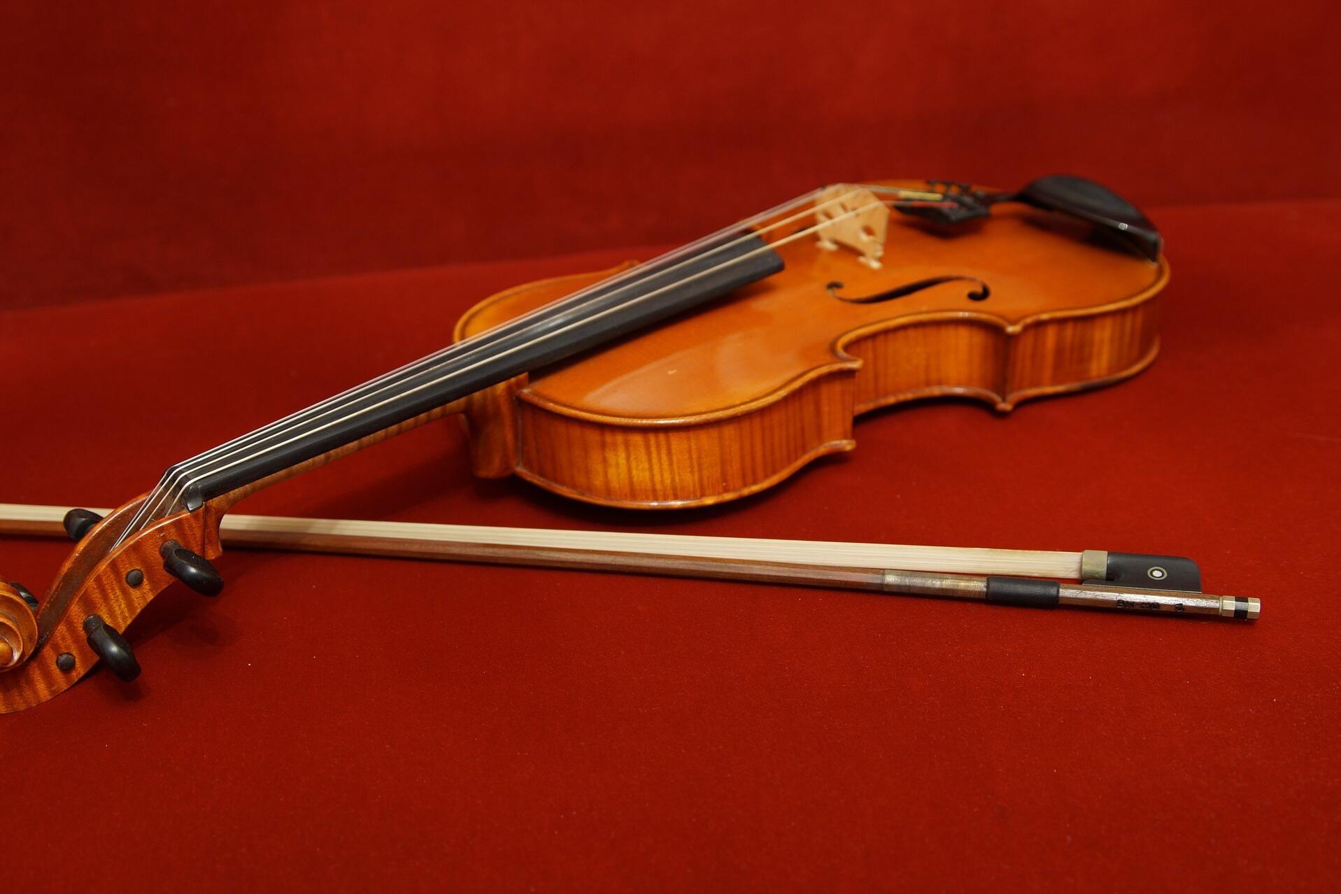Abbildung einer Bratsche/Viola auf bordeaux-rotem Hintergrund