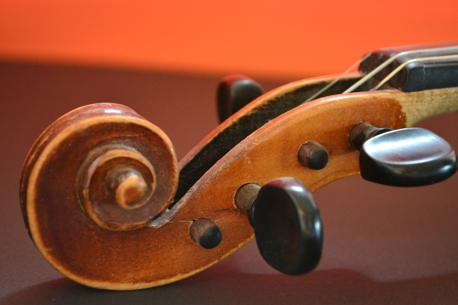 Abbildung eines Teils einer Violine
