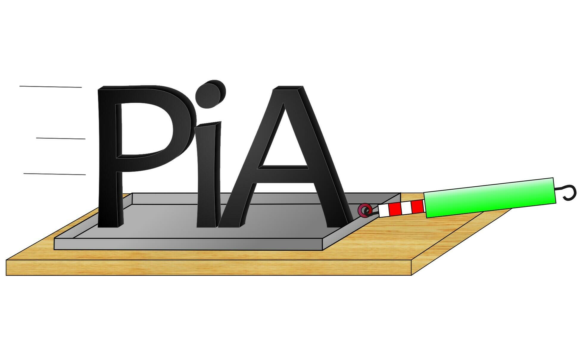 PIA - Physik in Aktion - Reibung