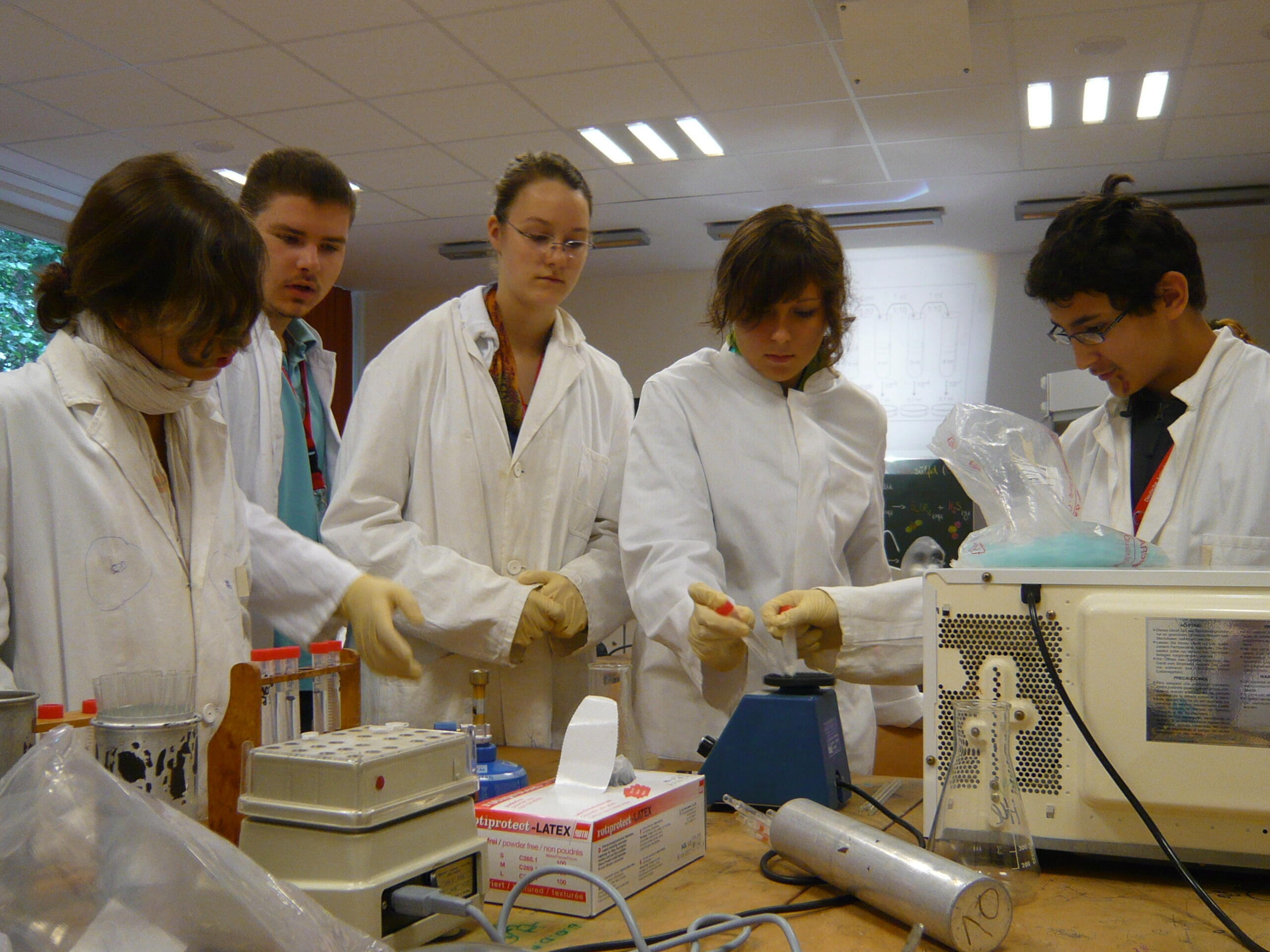 »Arbeiten mit Bakterien« © JuniorAkademie St. Peter-Ording