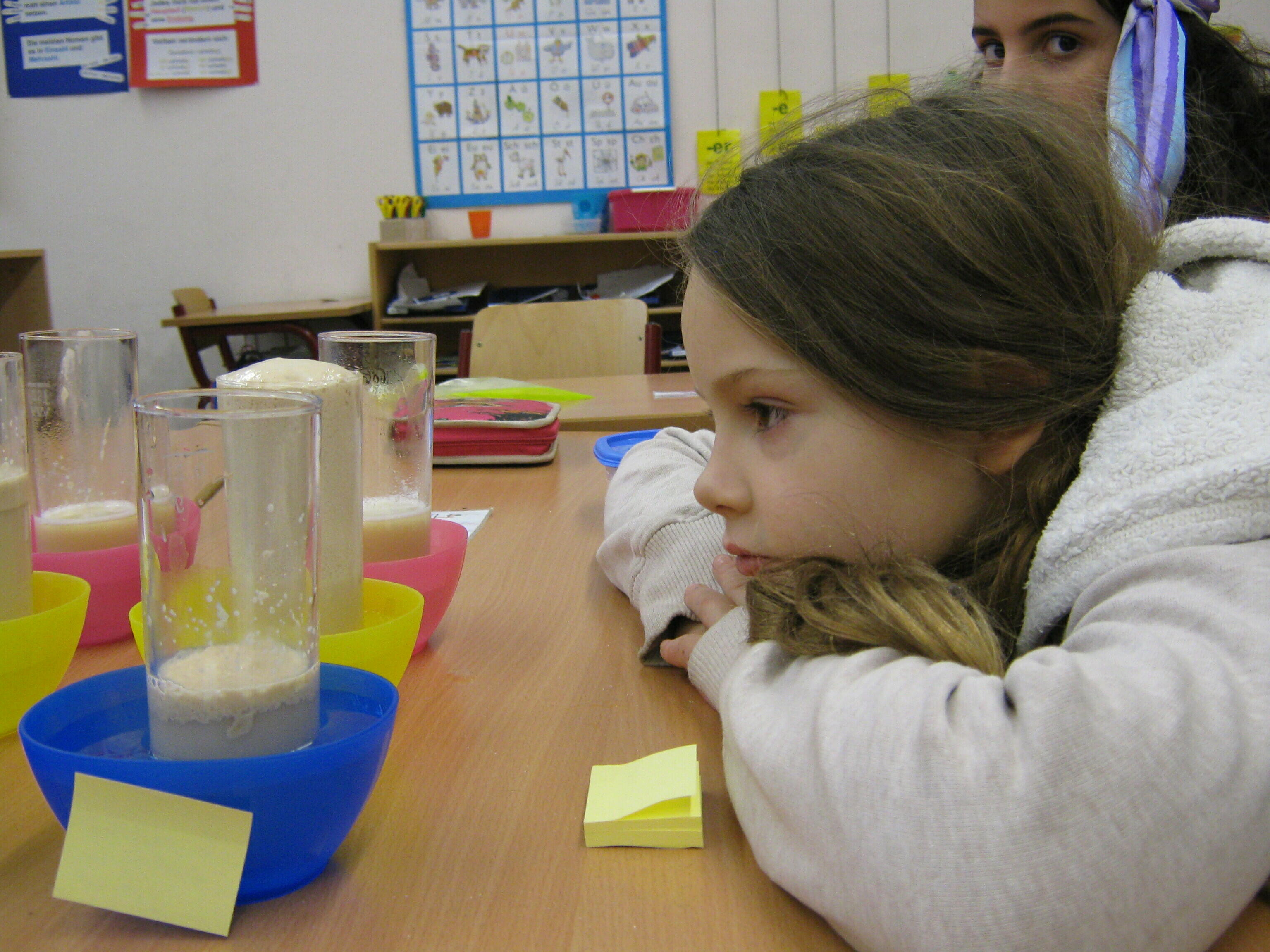 Große Forscher der Joseph-Carlebach-Schule